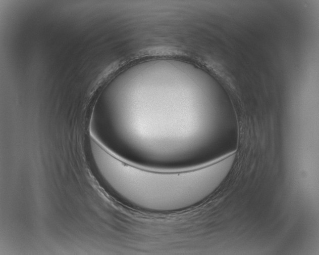 X0000052590015200507010951