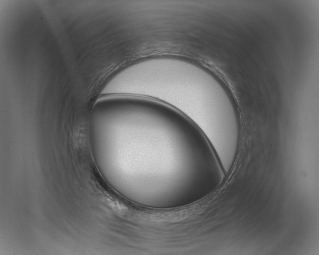 X0000052590017200507010951