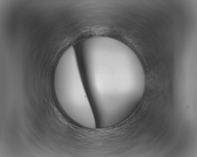 X0000052590018200507010951