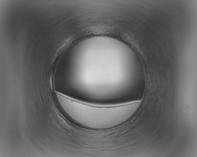 X0000052590019200507010951