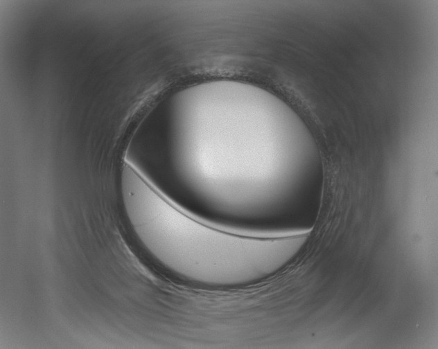 X0000052590020200507010951
