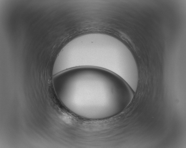 X0000052590025200507010951
