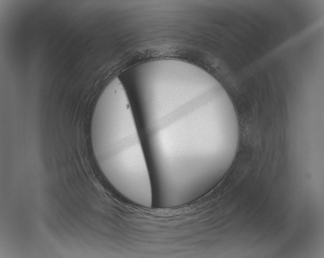 X0000052590026200507010951