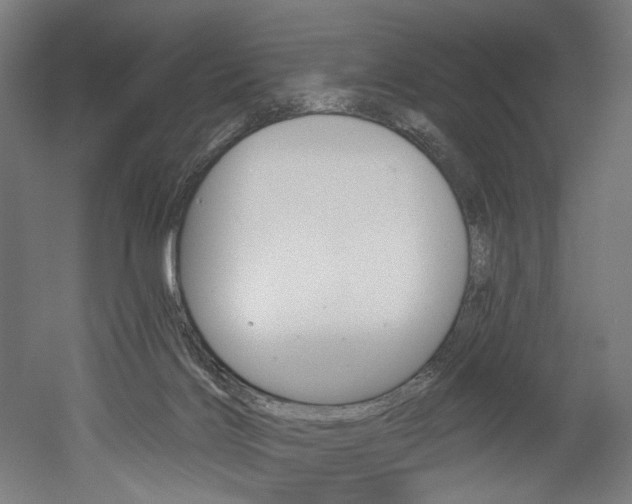 X0000052590028200507010951