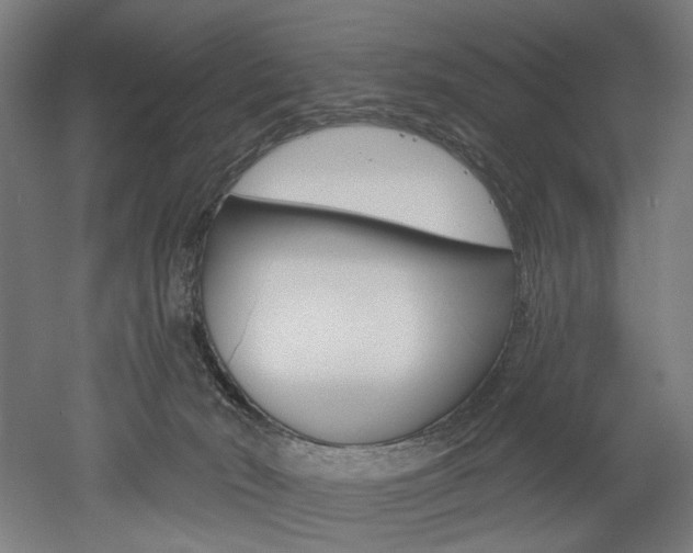 X0000052590030200507010951