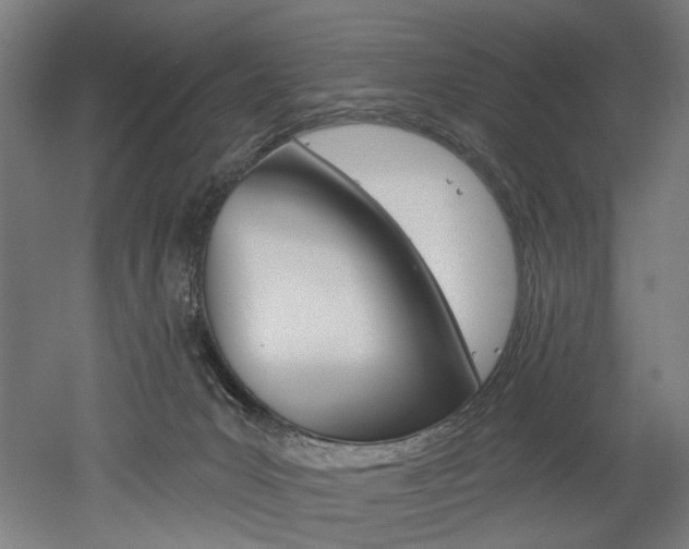 X0000052590031200507010951