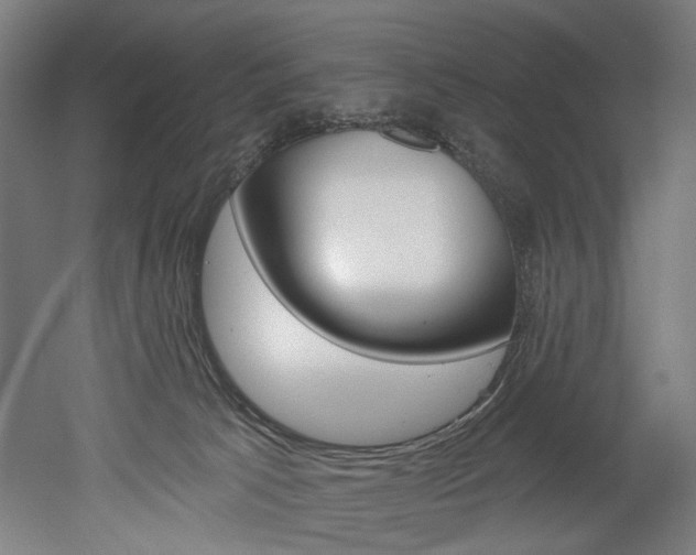 X0000052590033200507010951