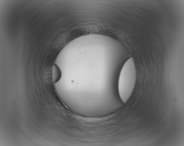 X0000052590034200507010951