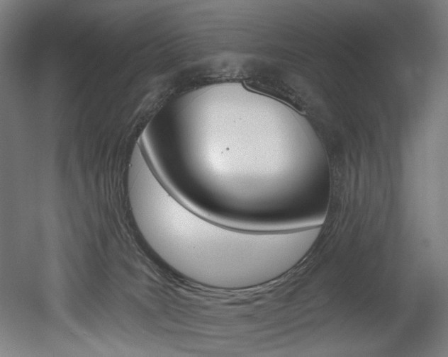 X0000052590035200507010951