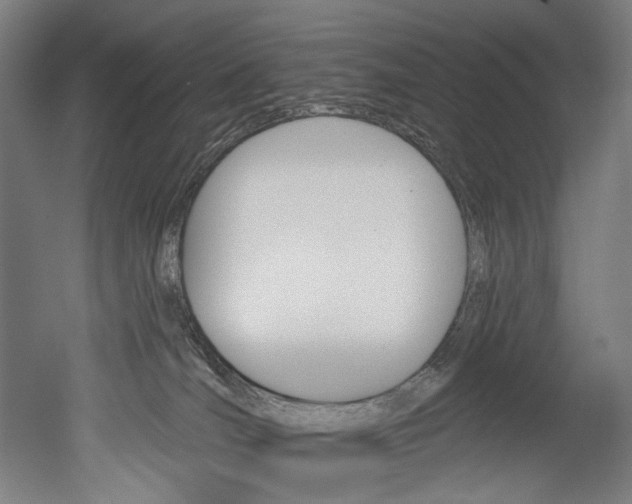 X0000052590036200507010951