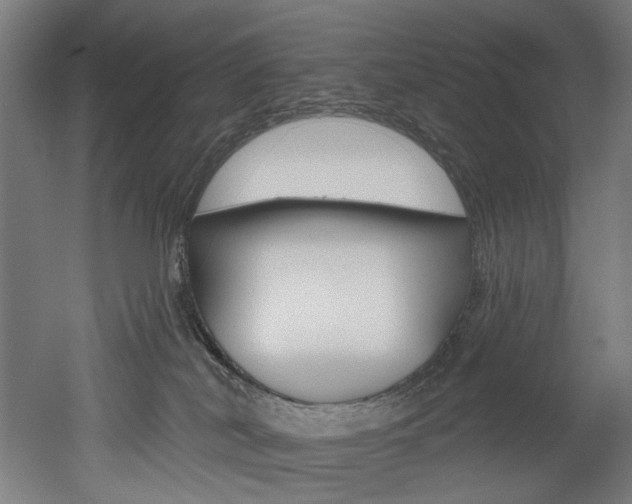 X0000052590038200507010951