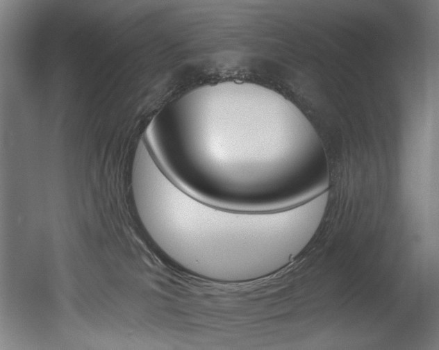 X0000052590039200507010951