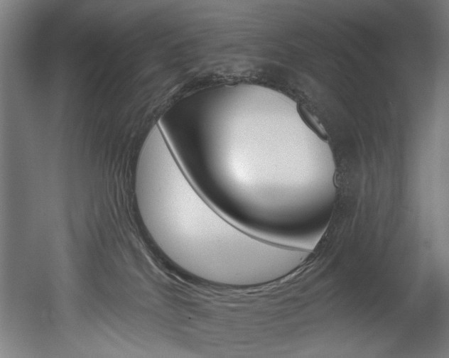 X0000052590040200507010951