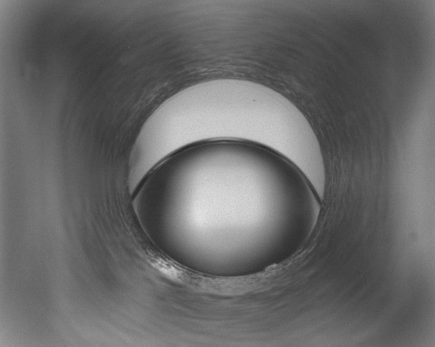 X0000052590041200507010951