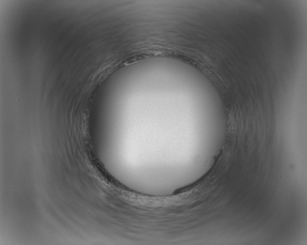 X0000052590043200507010951