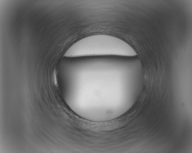 X0000052590046200507010951