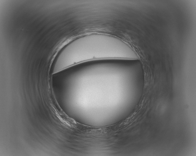 X0000052590050200507010950