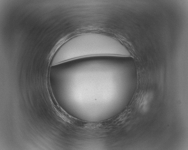 X0000052590051200507010950