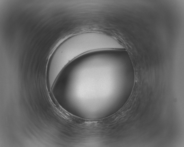 X0000052590052200507010950