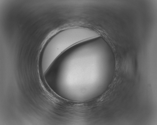X0000052590054200507010950