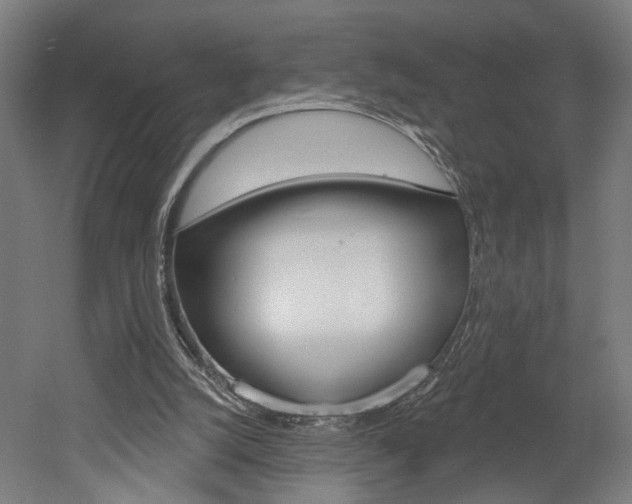 X0000052590056200507010950