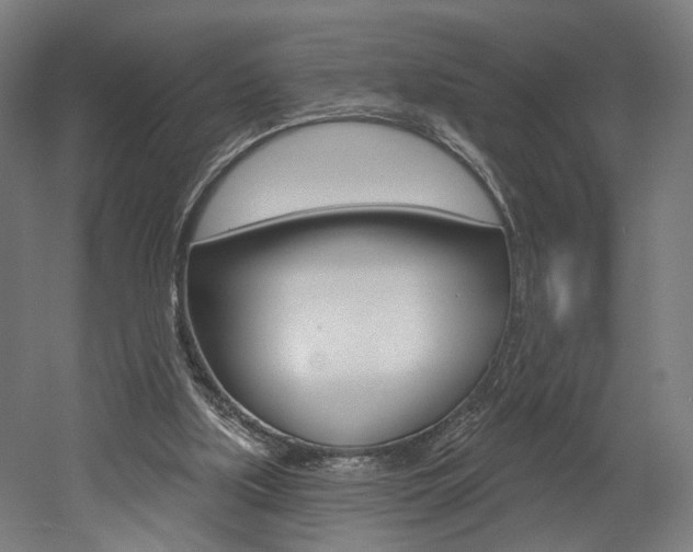 X0000052590059200507010950