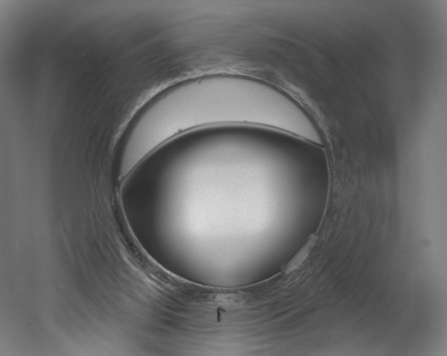 X0000052590060200507010950