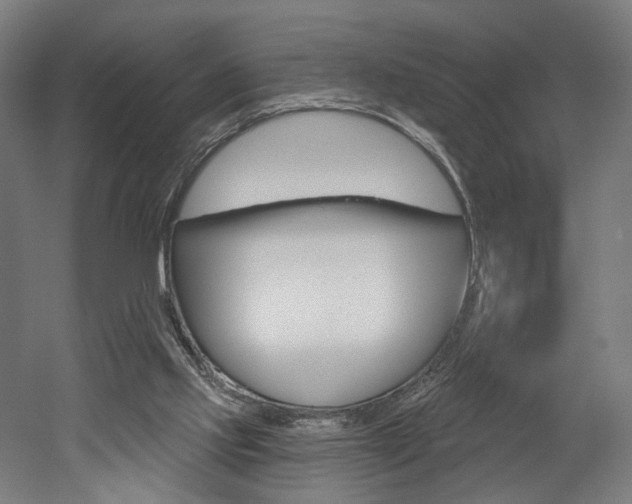 X0000052590061200507010950