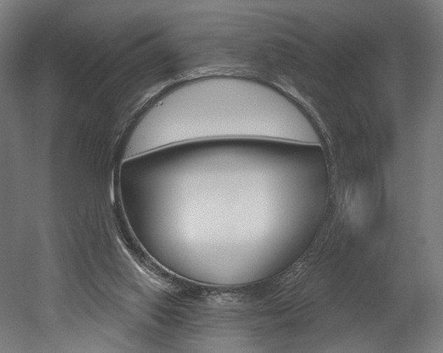X0000052590062200507010950