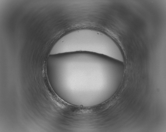 X0000052590065200507010950
