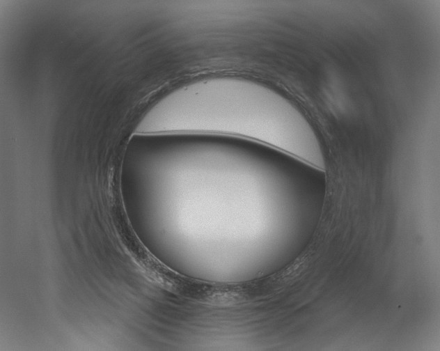X0000052590066200507010950