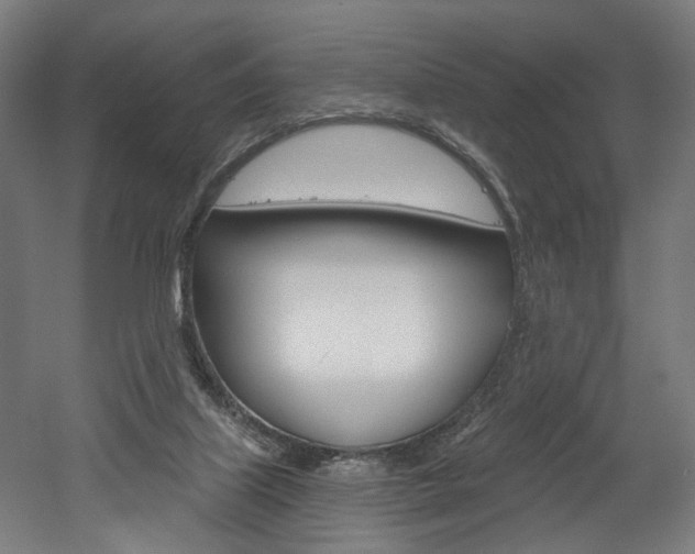 X0000052590067200507010950