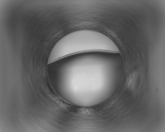 X0000052590073200507010950