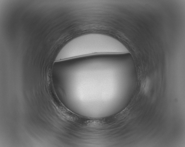 X0000052590074200507010950