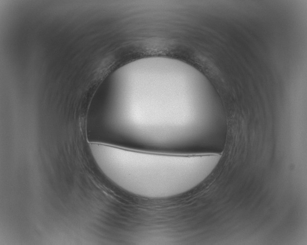 X0000052590075200507010950