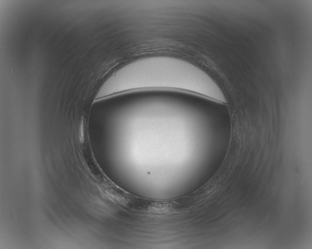 X0000052590076200507010950