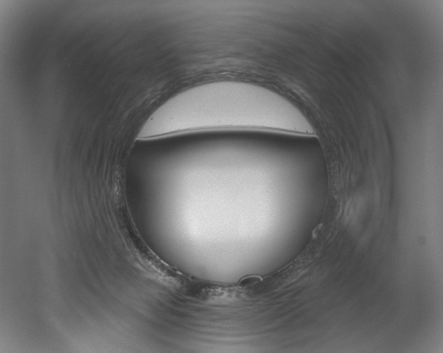 X0000052590077200507010950