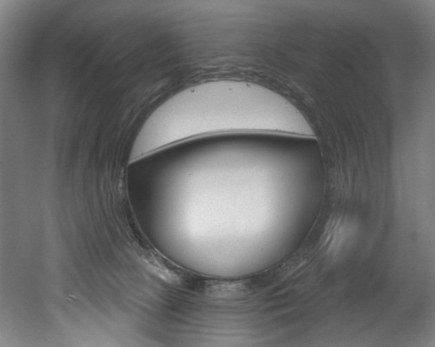 X0000052590081200507010950