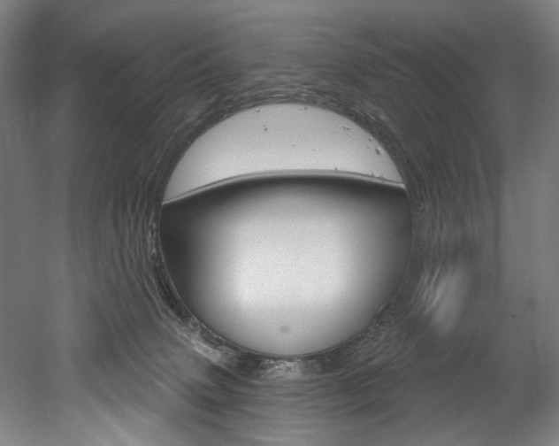 X0000052590083200507010950