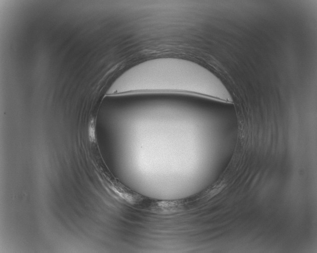 X0000052590095200507010951