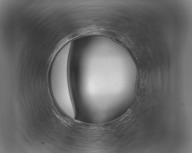 X0000052590099200507010950