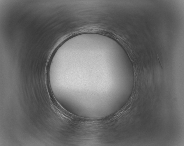 X0000052590100200507010950