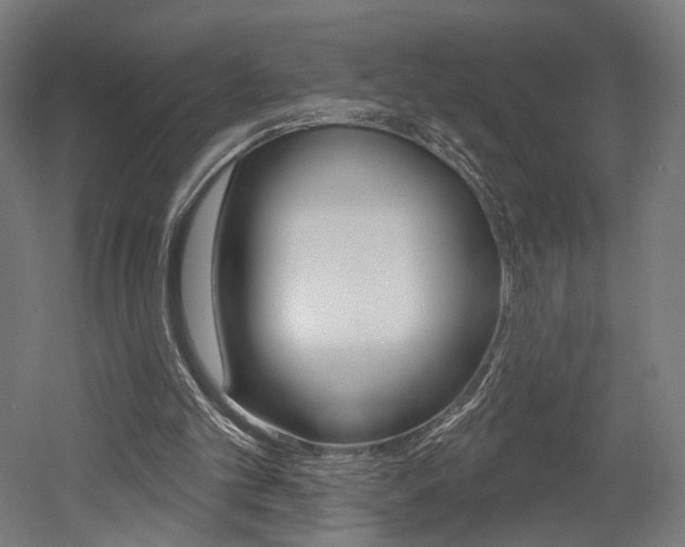 X0000052590101200507010950