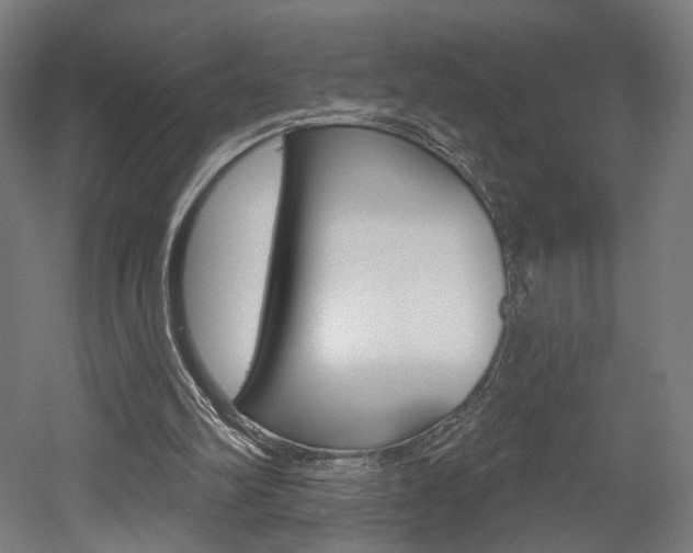 X0000052590102200507010950
