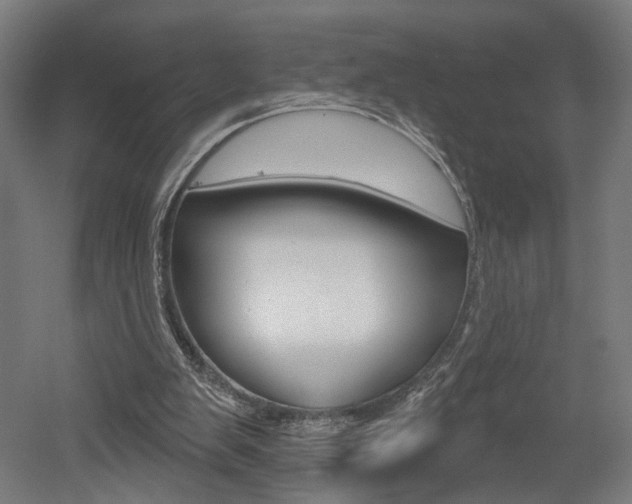 X0000052590103200507010950