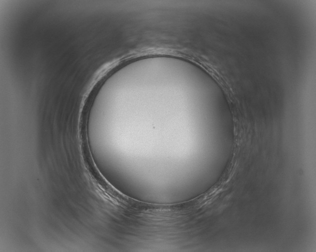 X0000052590104200507010950