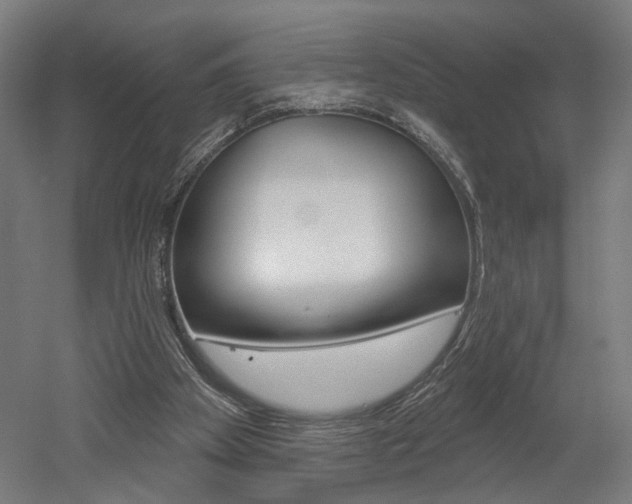 X0000052590105200507010950