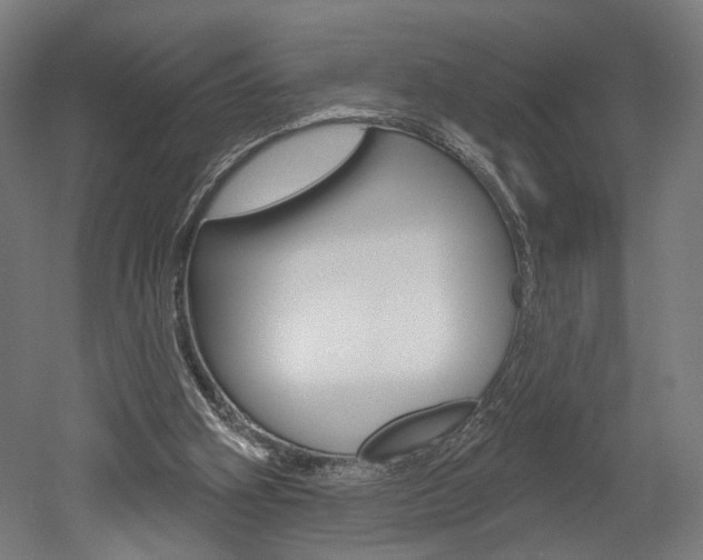 X0000052590106200507010950