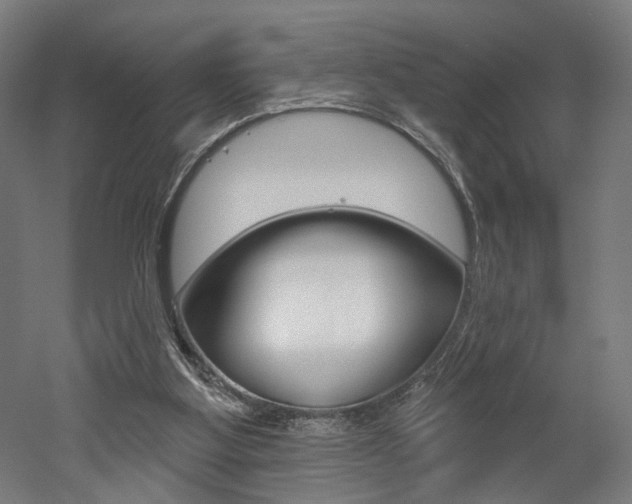 X0000052590107200507010950