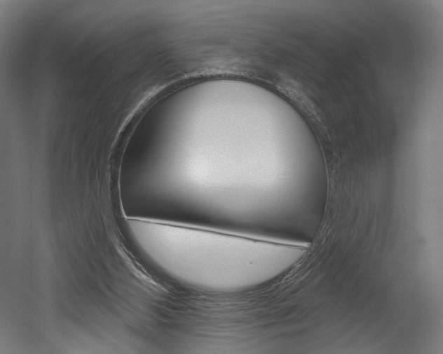 X0000052590108200507010950